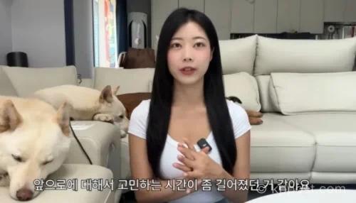 개조이