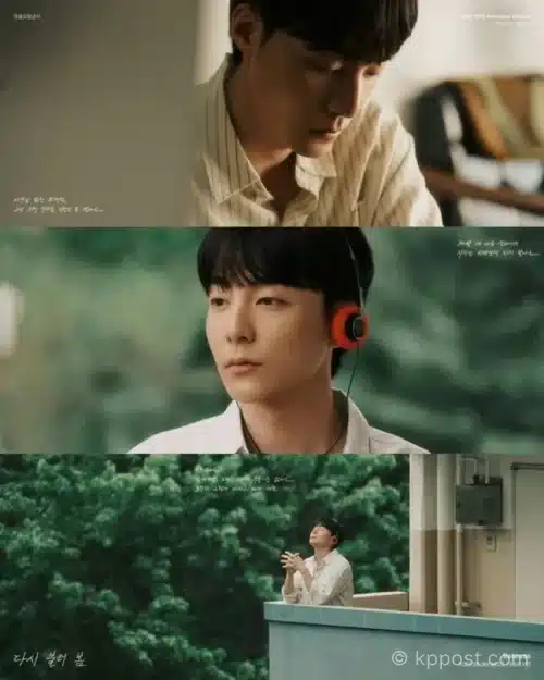 로이킴이 2026년 5월 20일 리메이크 앨범 ‘다시 불러 봄 - Bloom Again’을 발매한다. ‘앵콜요청금지’와 ‘스물다섯, 스물하나’ 포스터를 공개하며 시간과 기억을 담은 감성 프로젝트를 예고했다.