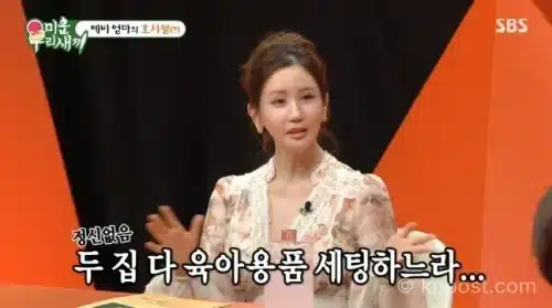 이다해 임신