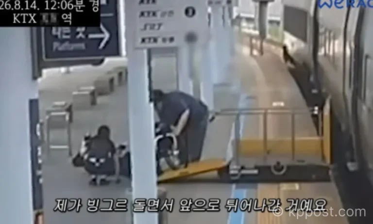 박위 KTX 장애인 할인 70% 의혹과 코레일 실제 할인율 비교