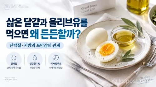 삶은 달걀과 올리브유는 단백질과 지방을 함께 섭취하는 조합이지만, 포만감과 식사 만족도는 개인에 따라 달라질 수 있다. (이해를 돕기 위한 AI 생성 이미지)
