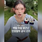 리센느 원이가 진행하는 유튜브 채널 '안원잘부'가 멤버들의 개성과 영상 속 장면을 활용한 공식 굿즈를 선보였다. (사진=인스타그램)