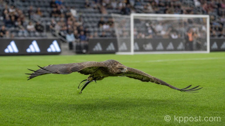 LAFC의 상징인 매가 경기장 상공을 날고 있는 모습